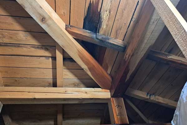 屋根裏まで入る「徹底調査」