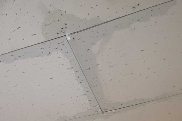 雨が降ると「ポタポタ」という音がどこからか聞こえる